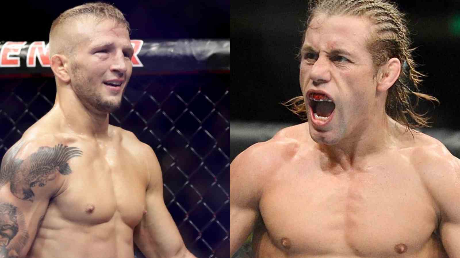 What is the beef between TJ Dillashaw and Urijah Faber?