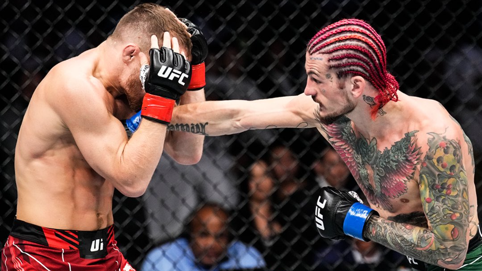 “Put him into One or Bellator” – Sean O’Malley reveals the move that could’ve changed Petr Yan’s career trajectory