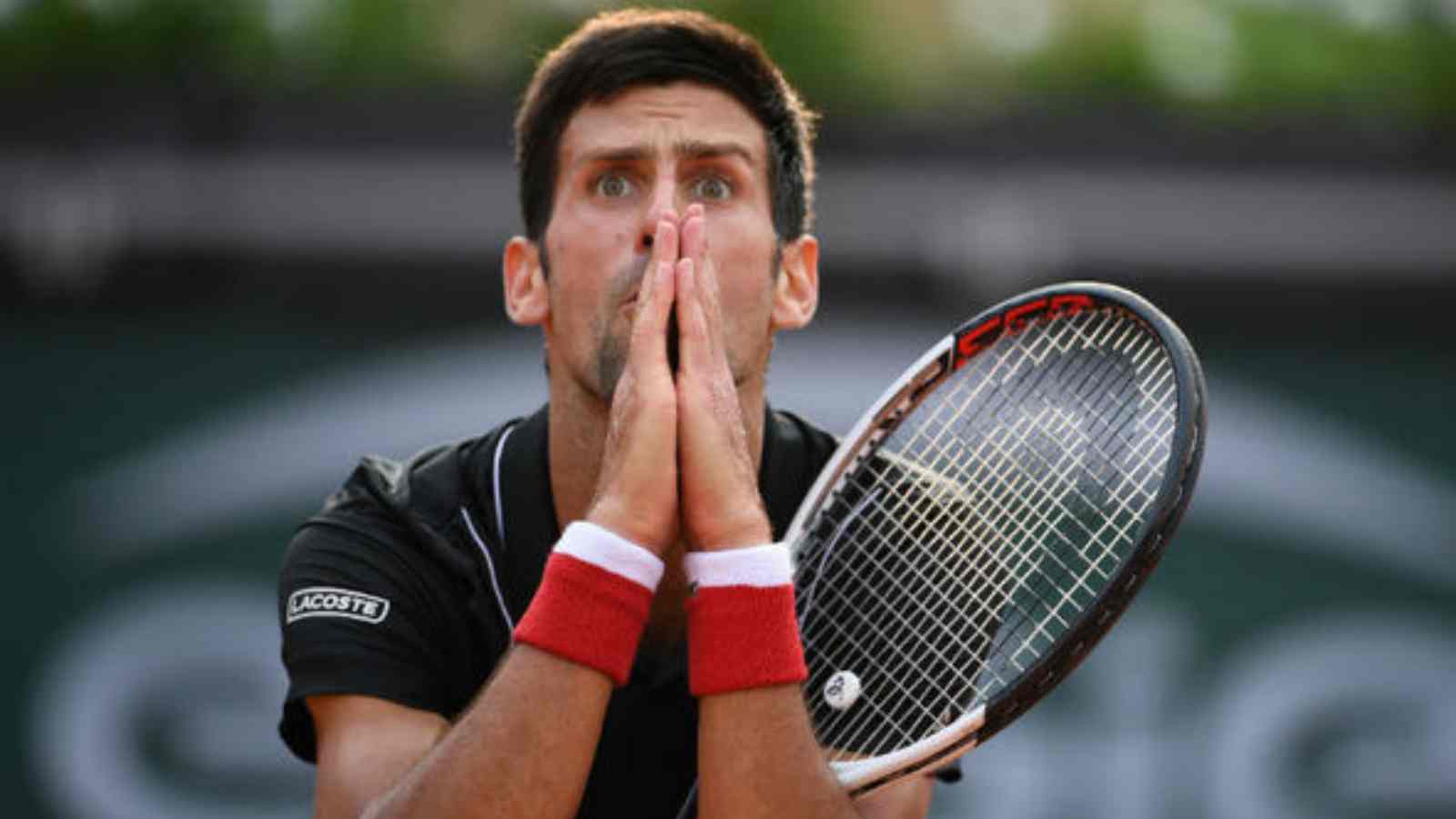 “I’ve never offended or tried to be disrespectful” Novak Djokovic urges officials in the Australian government to give him a chance