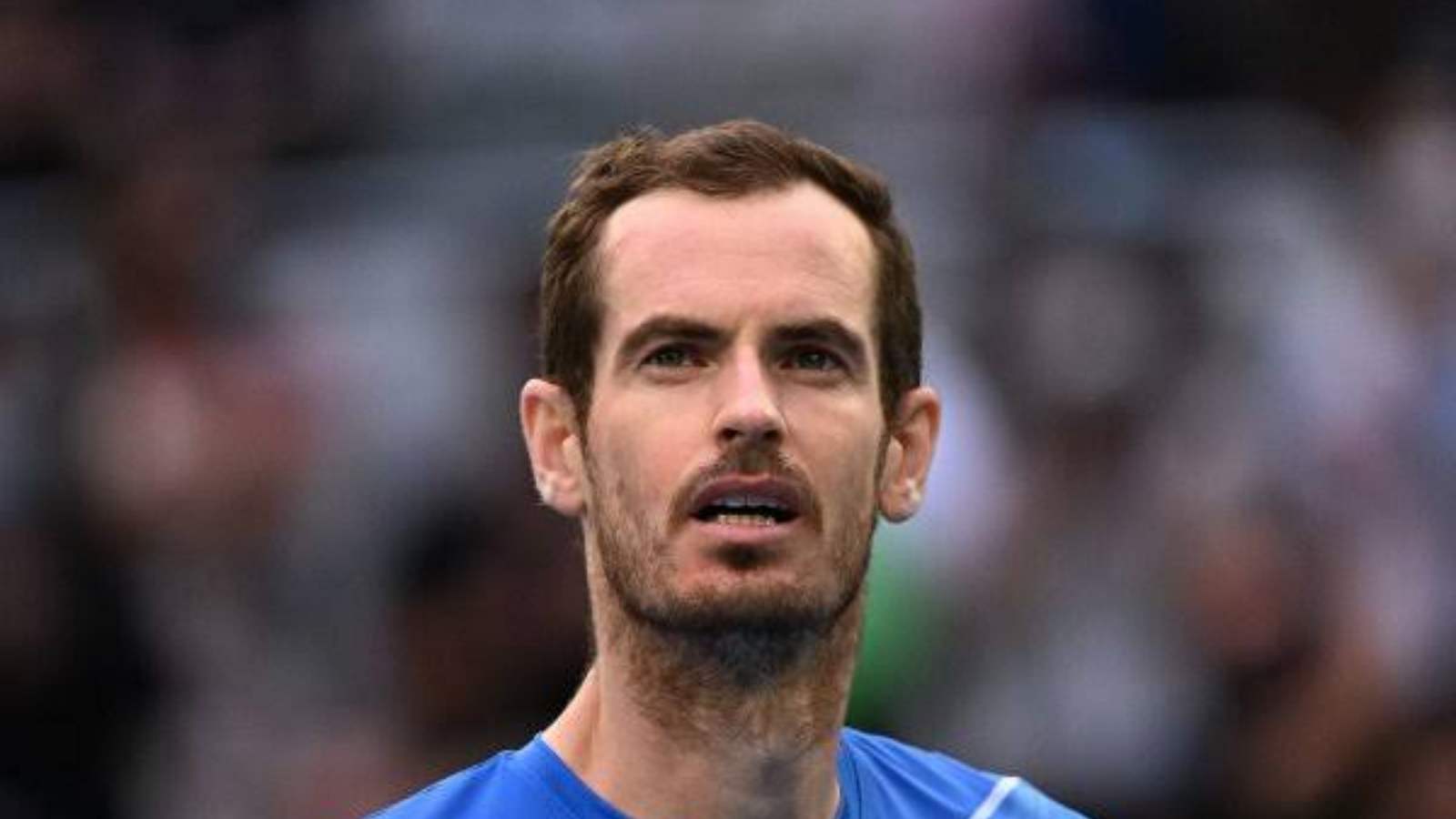 Andy Murray confessed to being on the verge of his imminent retirement as he discloses his next year plans