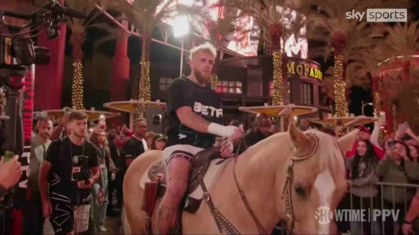 WATCH: Jake Paul rides on A HORSE as he arrives at his open workout in true warrior fashion