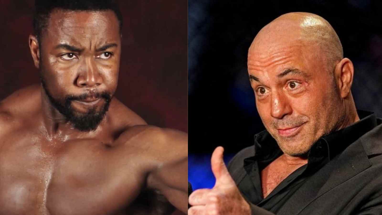 Joe Rogan comments on the legitimacy of some of the most popular MMA figures including Bruce Lee and Michael Jai White