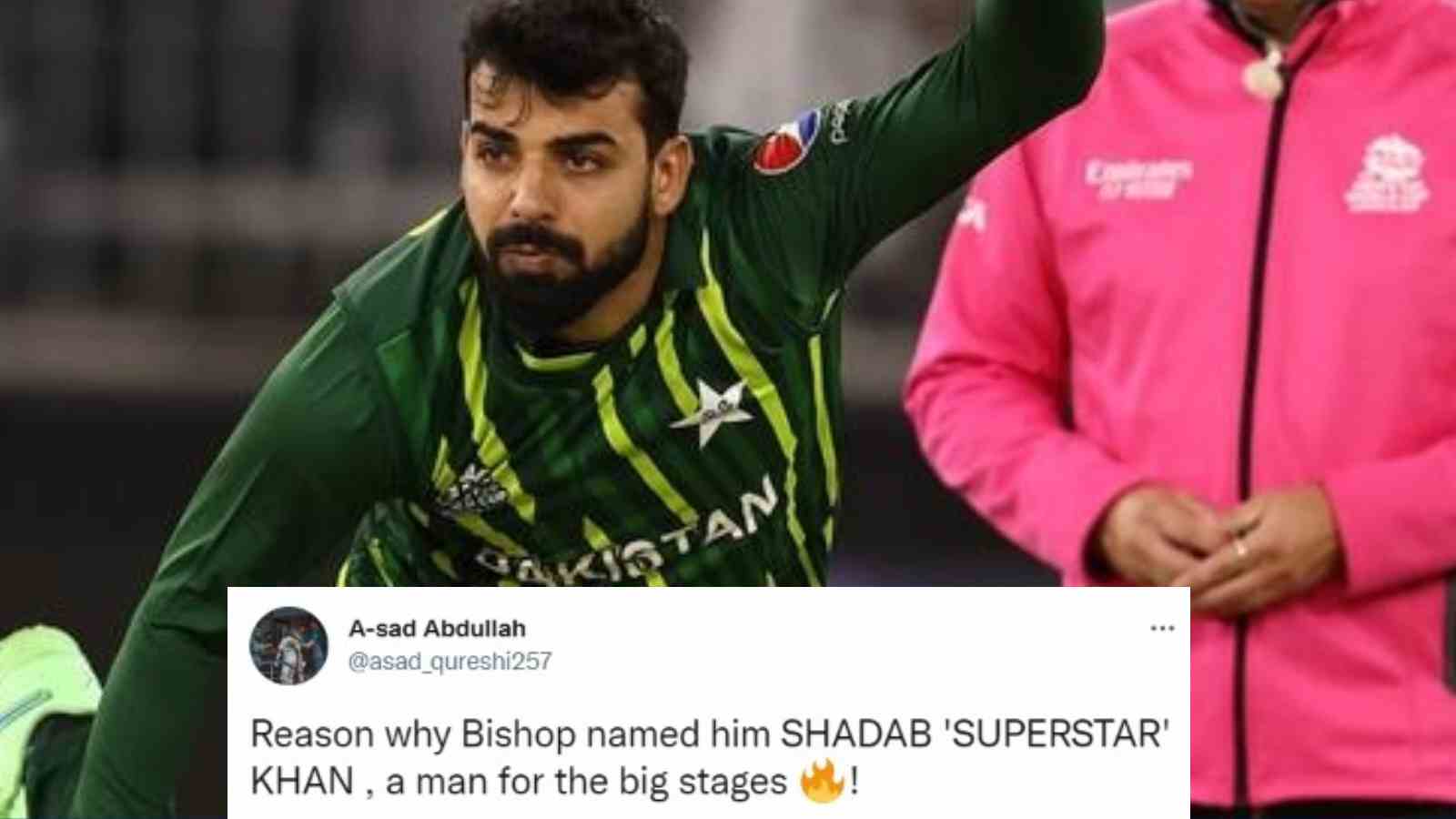 “Man for the big stages”- Twitter reacts as the Netherlands falter badly while facing Shadab Khan’s spin attacks