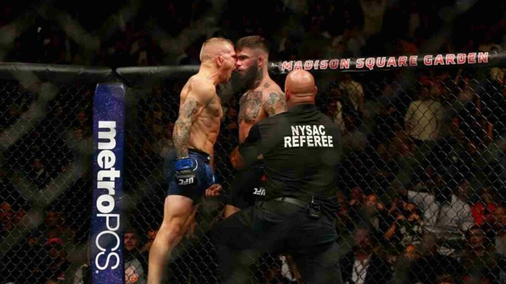 TJ Dillashaw  x Cody Garbrandt 