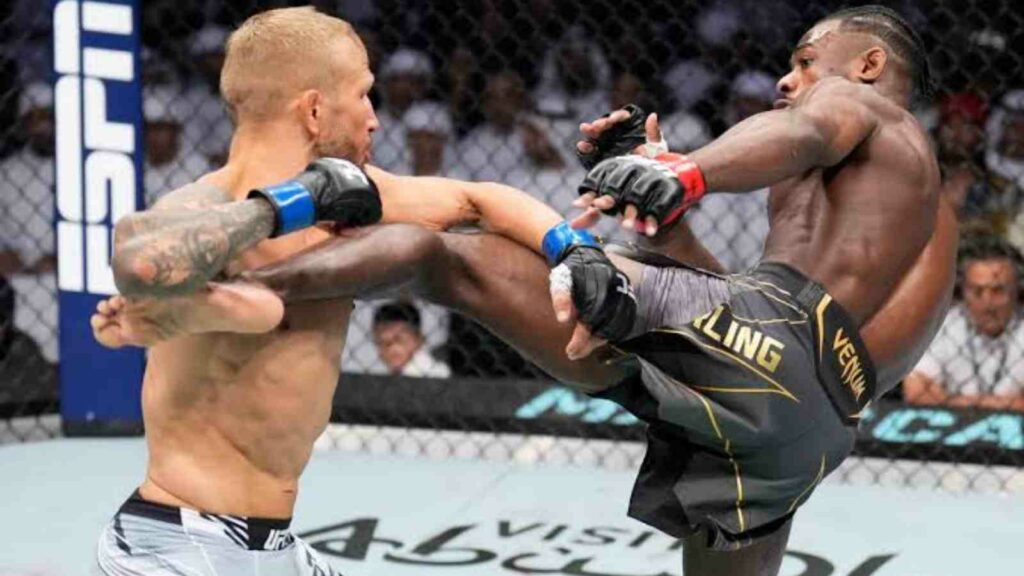 TJ Dillashaw vs Aljamain Sterling