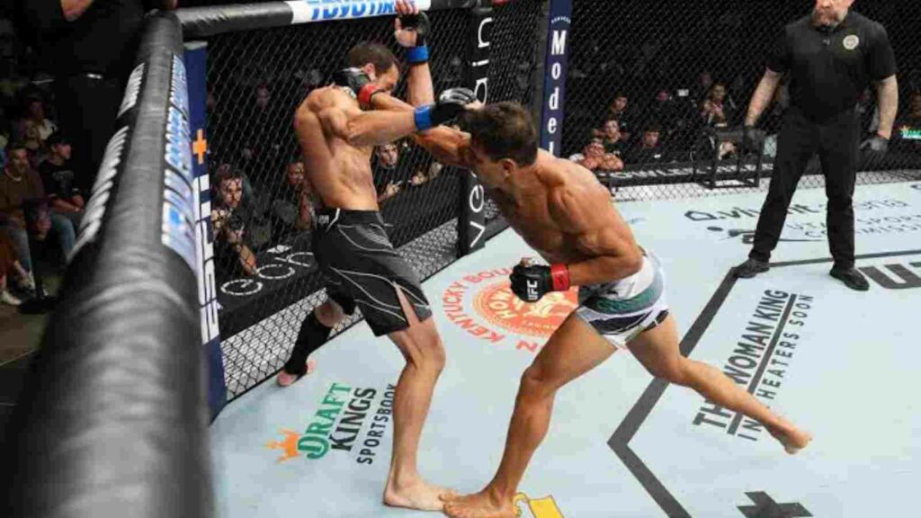 Paulo Costa vs Luke Rockhold