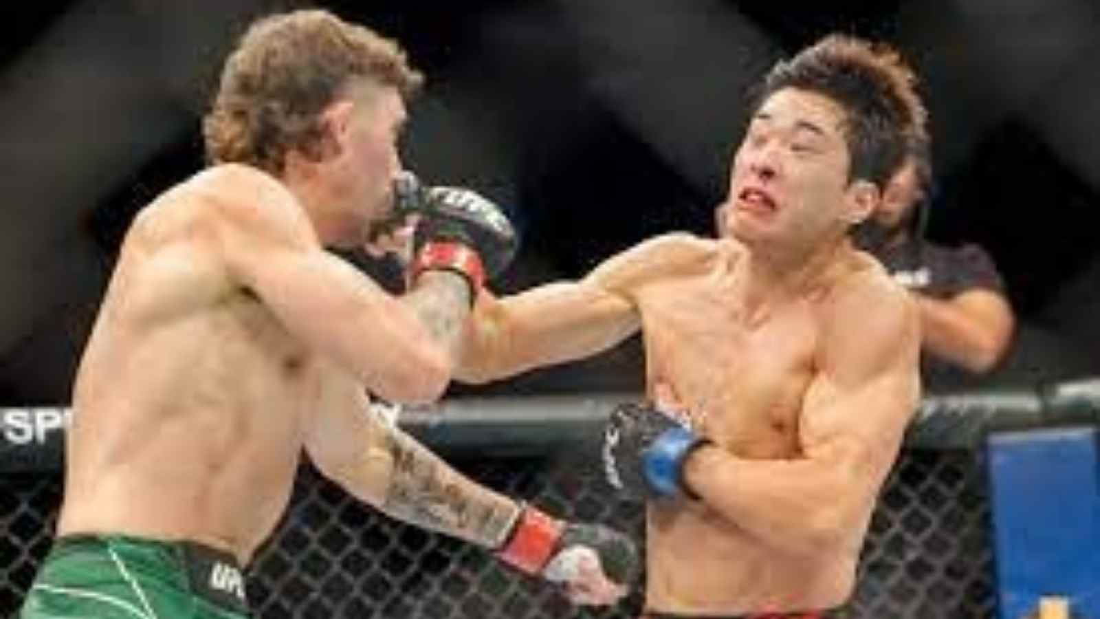 “Imagine if it was a double KO”- MMA Twitter erupts at a double knockdown between Michael Trizano and Choi Seung-Woo at UFC 281