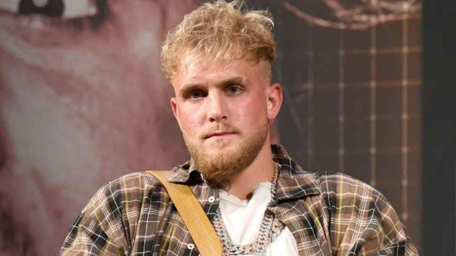 “The Less I Respect You as a Man”- Jake Paul Gets Verbally Thrashed By Former WWE Star for a Stunning Reason