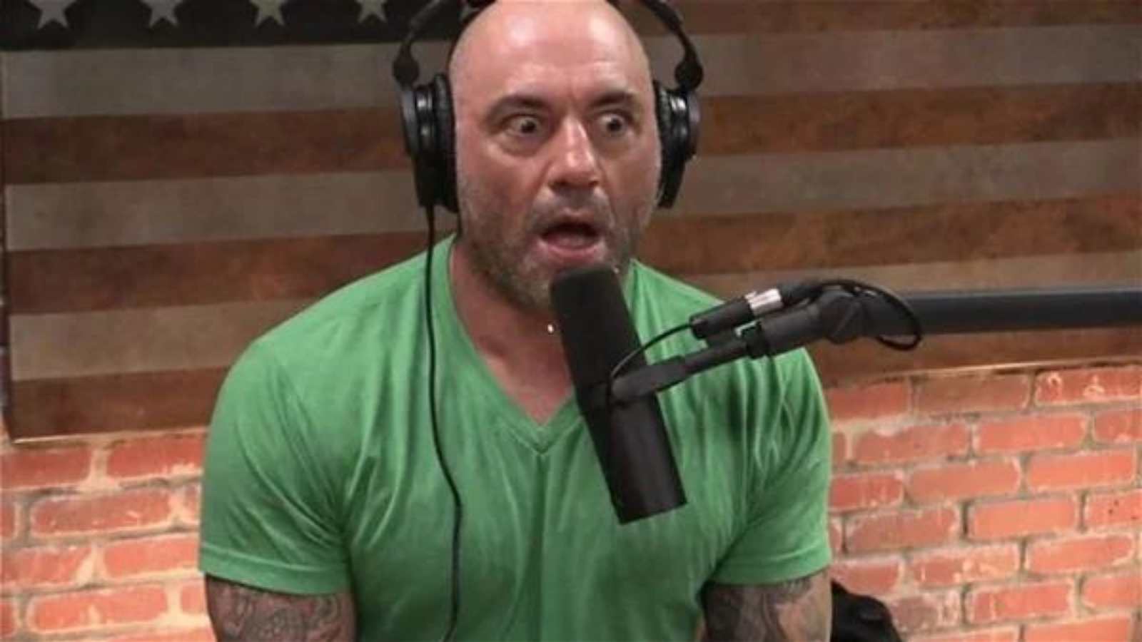 Joe Rogan goes off on Vegan’s trying to mimic meat as he promotes Indian vegetarian cuisine