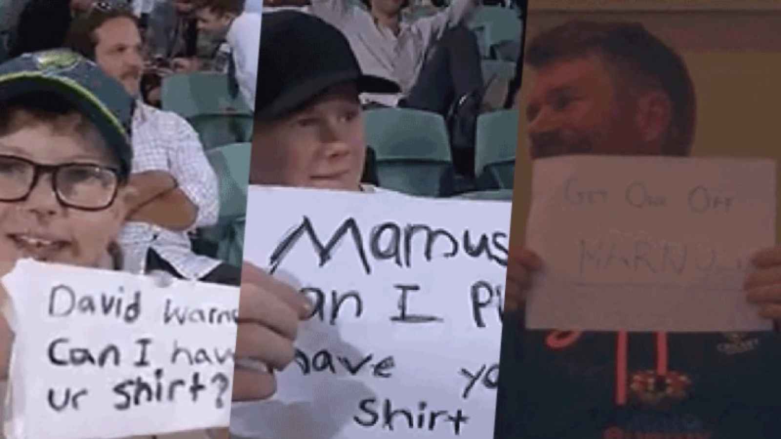 WATCH: David Warner and Marnus Labuschagne engage funny incident with fan