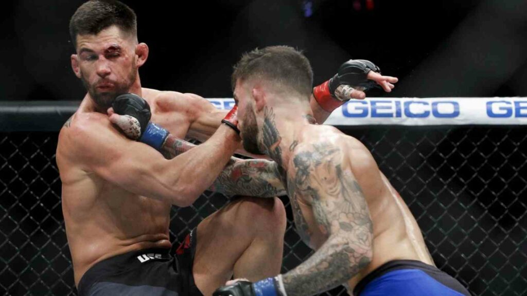 Cody Garbrandt (R) battles his way to a victory over Dominick Cruz (L) in 2016