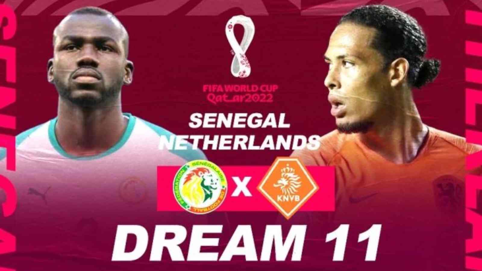 2022 FIFA World Cup: Netherlands Vs Senegal Live Stream, Match Timings and Preview