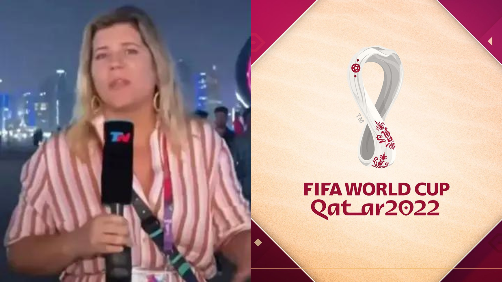 Reporter covering 2022 FIFA World Cup robbed live on air; Money and Documents stolen