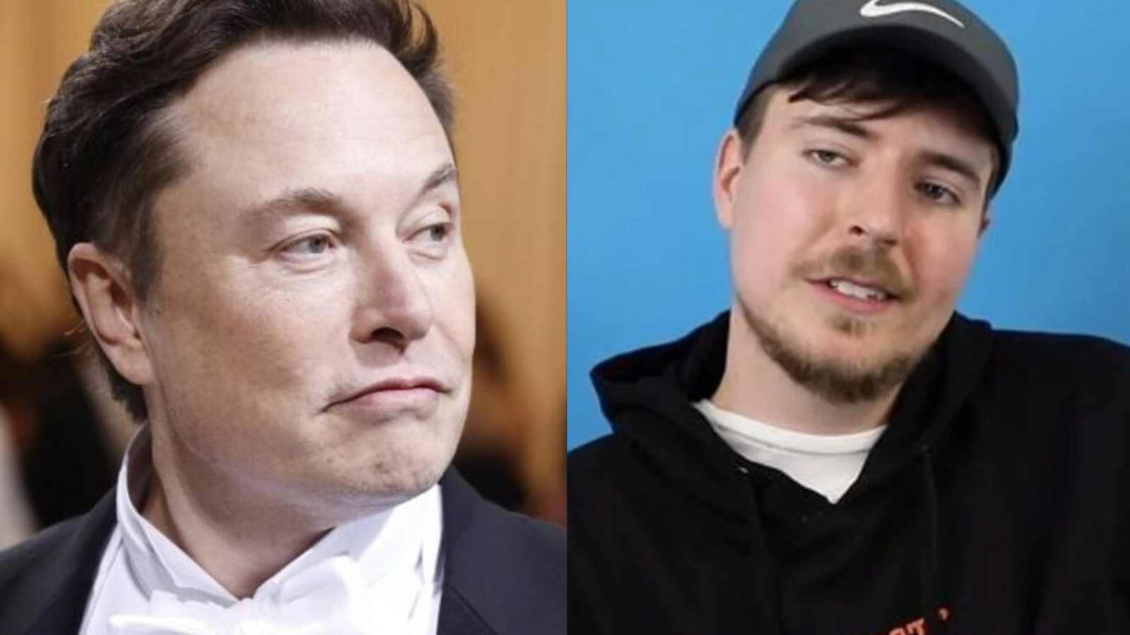 “I’d be shocked”: MrBeast responds as Elon Musk hints on promoting content creation on Twitter by giving higher compensation to creators