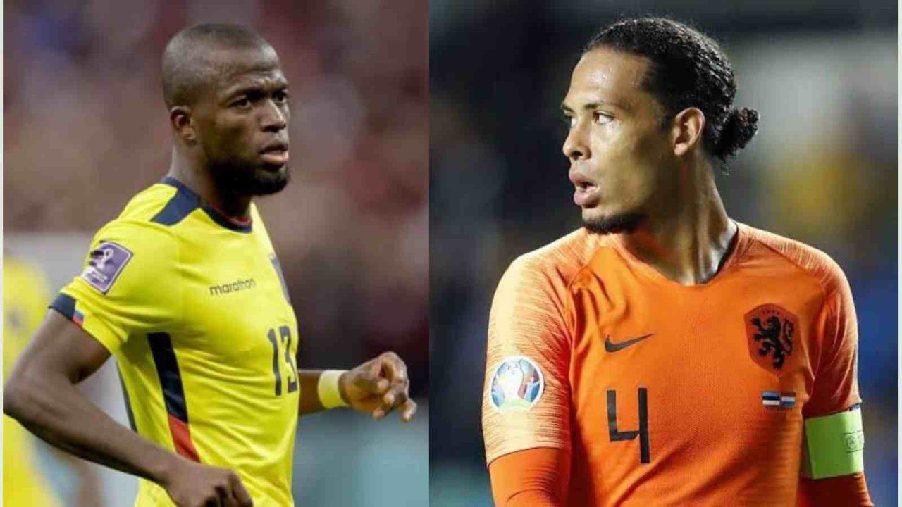 2022 FIFA World Cup: Netherlands vs Ecuador Live Stream, Match Timings, and Preview