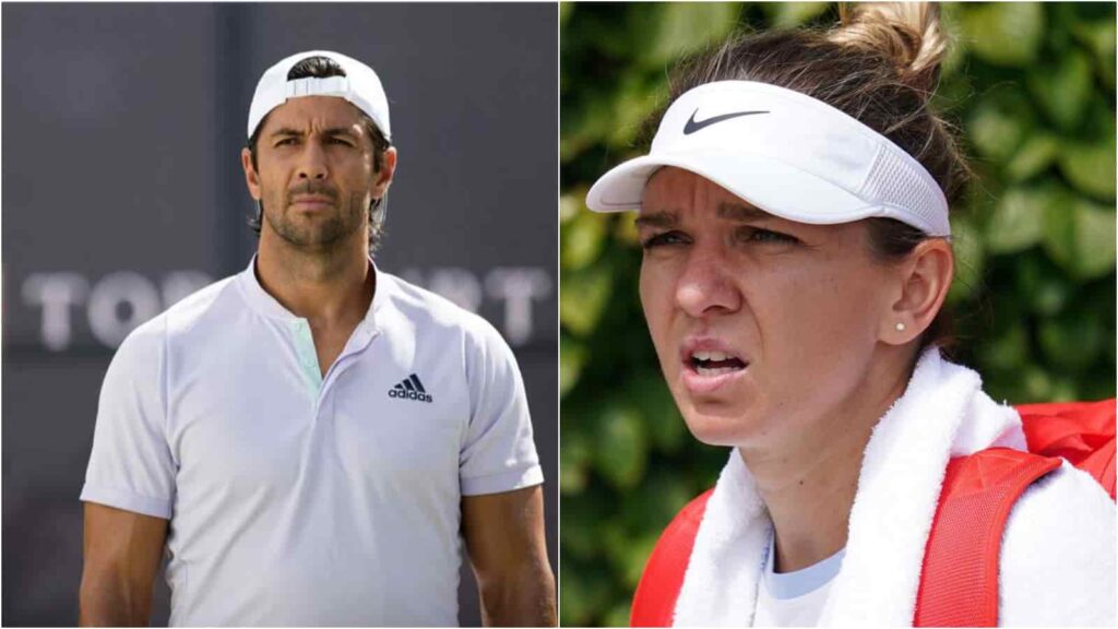 Fernando Verdasco and Simona Halep