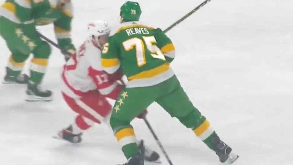 Ryan Reaves hit Filip Hronek [Image Credit: Detroit Hockey Now]