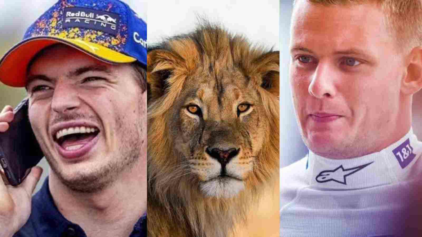 “This is really thoughtful of Max” – Fans on Twitter melt as Max Verstappen gifts a lion to Mick Schumacher