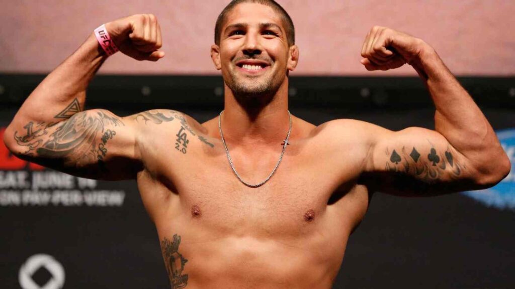 Brendan Schaub UFC